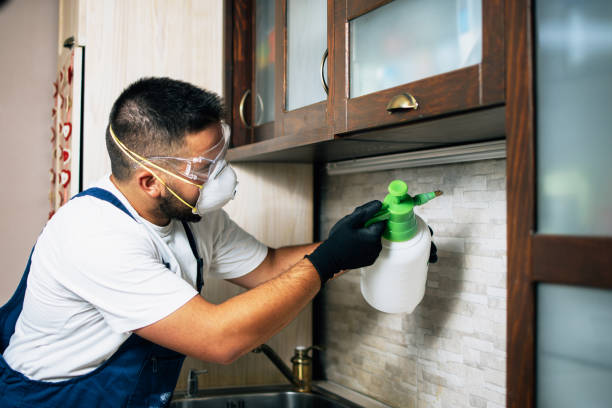 Best Pest Inspection Near Me  in University Center, VA