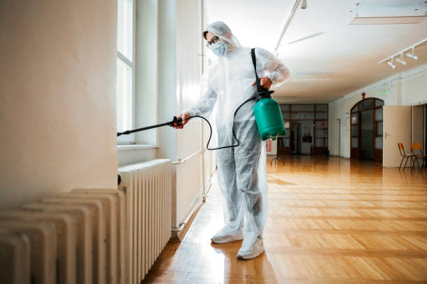 Best Ant Control Services  in University Center, VA